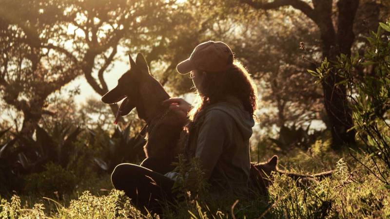 Woman and dog with sun as rim light.