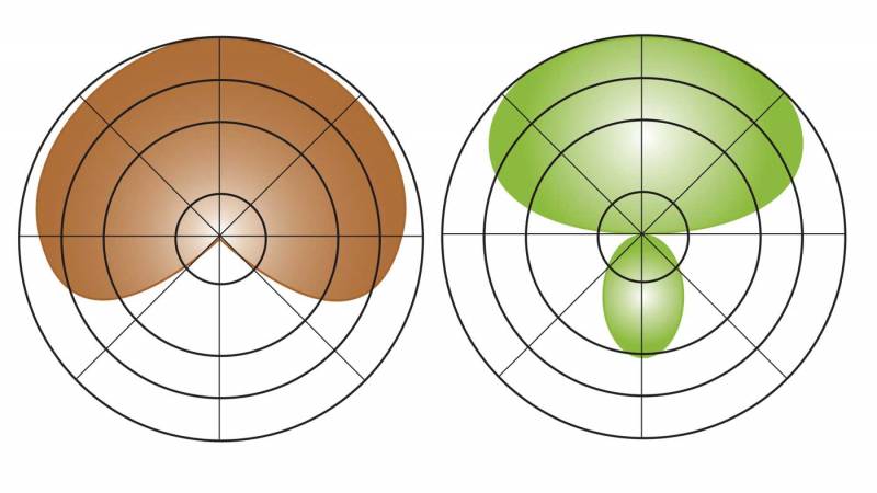 Diagram showing Cardioid and Hypercardioid pickup patterns