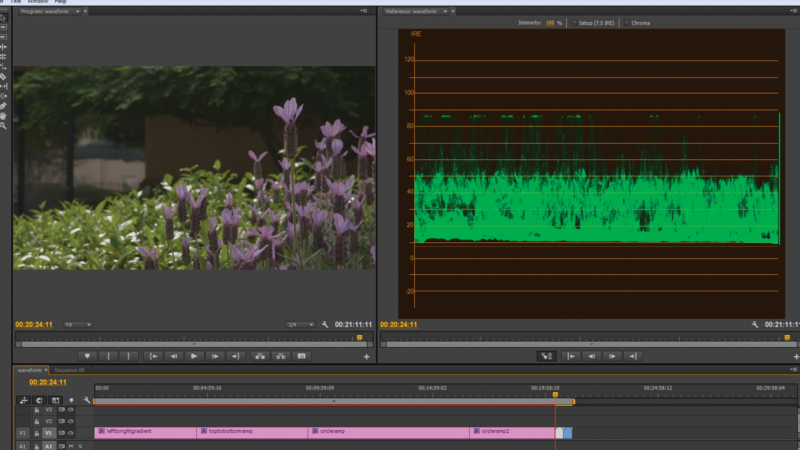 The waveform monitor will give you the overall luminance values of your image. Most of the time, you’ll want to keep all values within your image between 0 and 100 to make sure highlights aren’t blown out and blacks don’t get crushed.