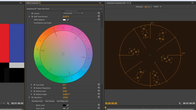 The vector scope shows you the hue and saturation values of the colors present in your image. Along with the use of a color target card, a vector scope come in very handy for color correction.