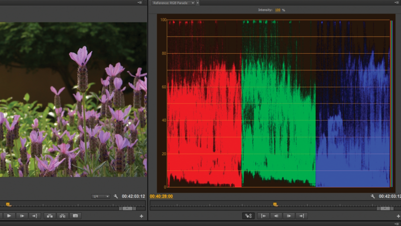 The RGB parade is a lot like the vector scope, but instead of overall luminance, it shows the luminance values for each of the three color channels.