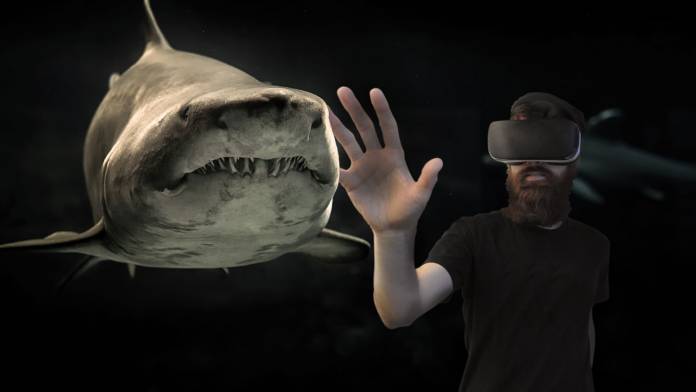 380-C13-Spherical-Video-primary Man with VR set on holding hand up to shark.