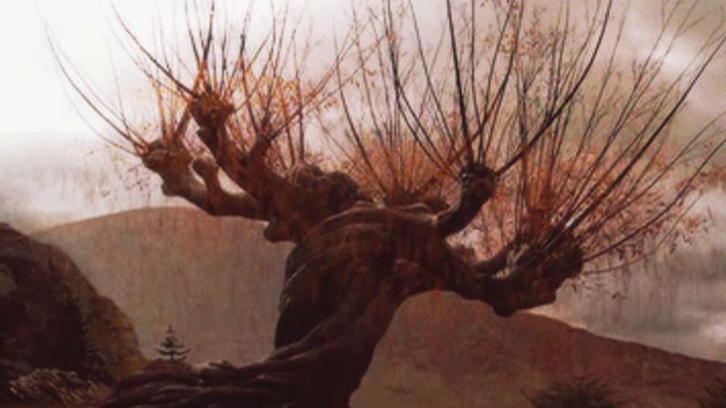 When the story takes place across several months, it’s important to have an efficient way to convey the passage of time. The “Harry Potter” series uses invisiable cuts frequently to show a change in seasons between plot points.