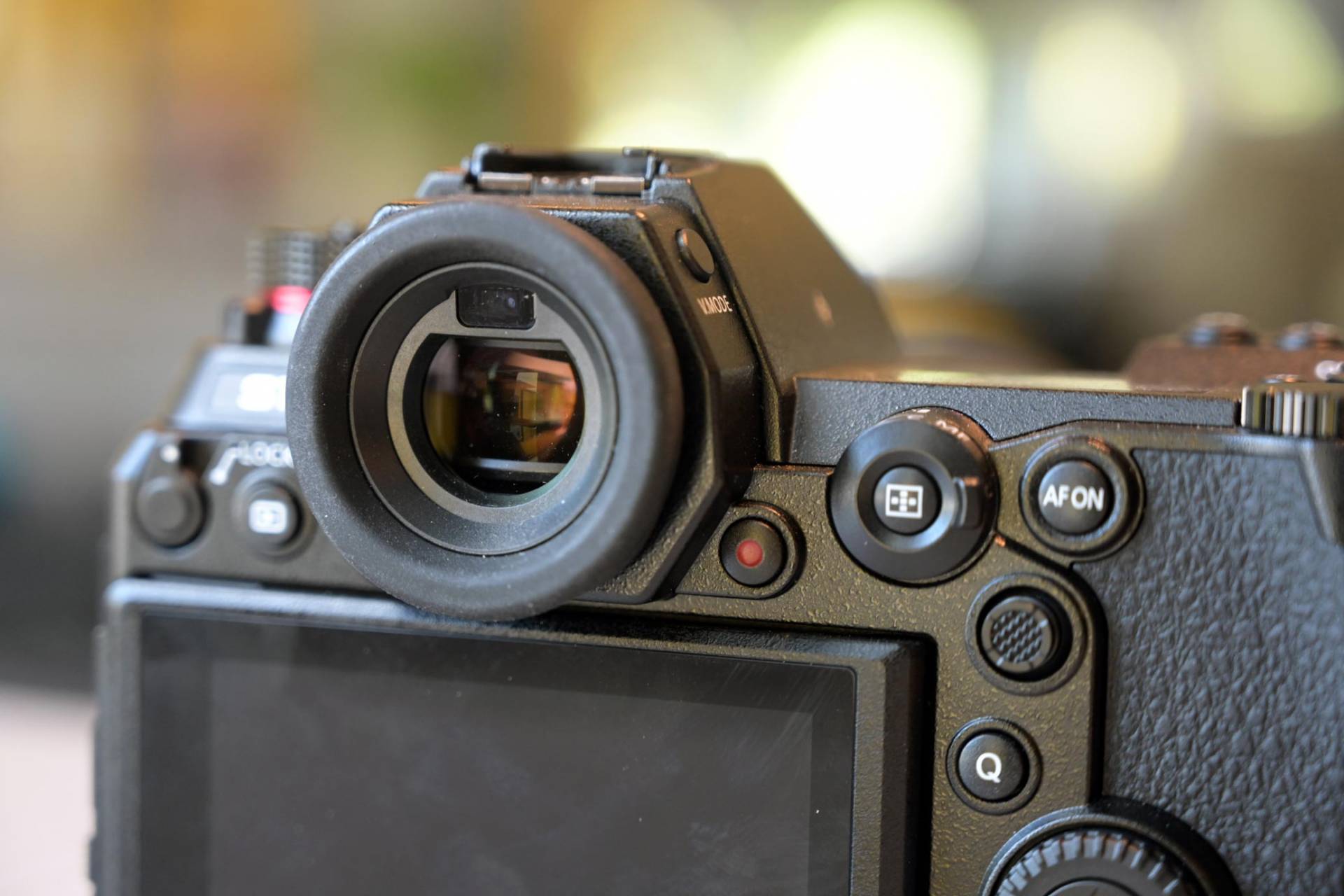 Pansonic Lumix S1 review - rear view of the Panasonic S1