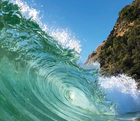 How Rob Layton made a career out of mobile video