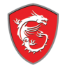 MSI