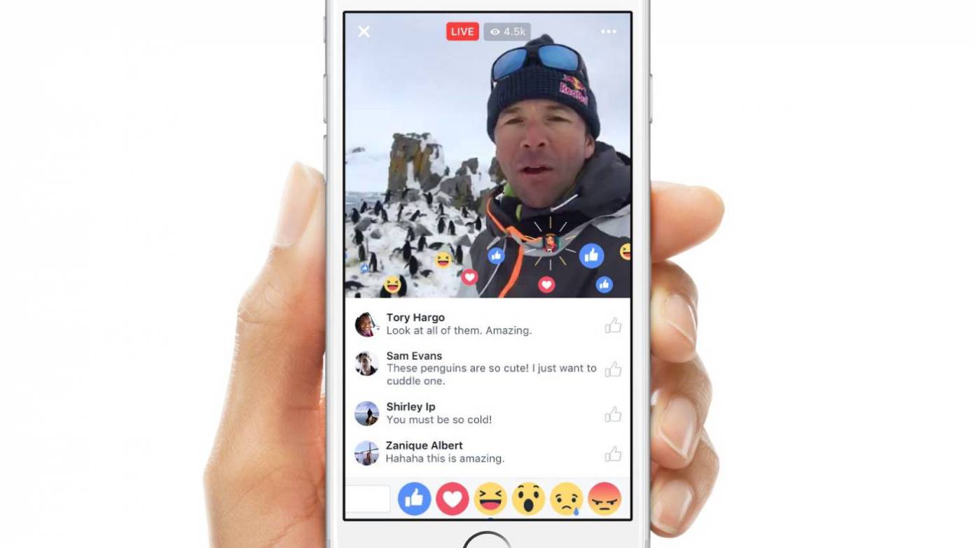 facebook live to mp4