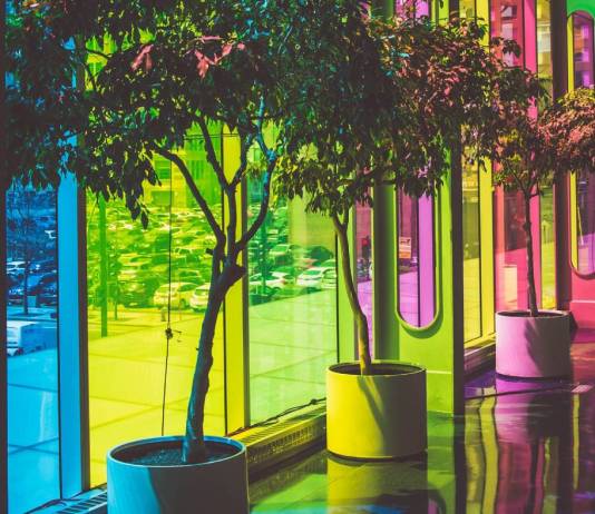 Color correction vs. color grading: Know the difference Color correction vs. color grading