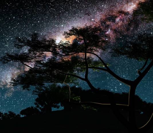 What can event videographers do to make money during COVID-19