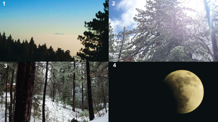 Photos illustrating the the progression from from morning to the high overhead sun of mid-day to the diffused light of the late afternoon to the full moon at night.